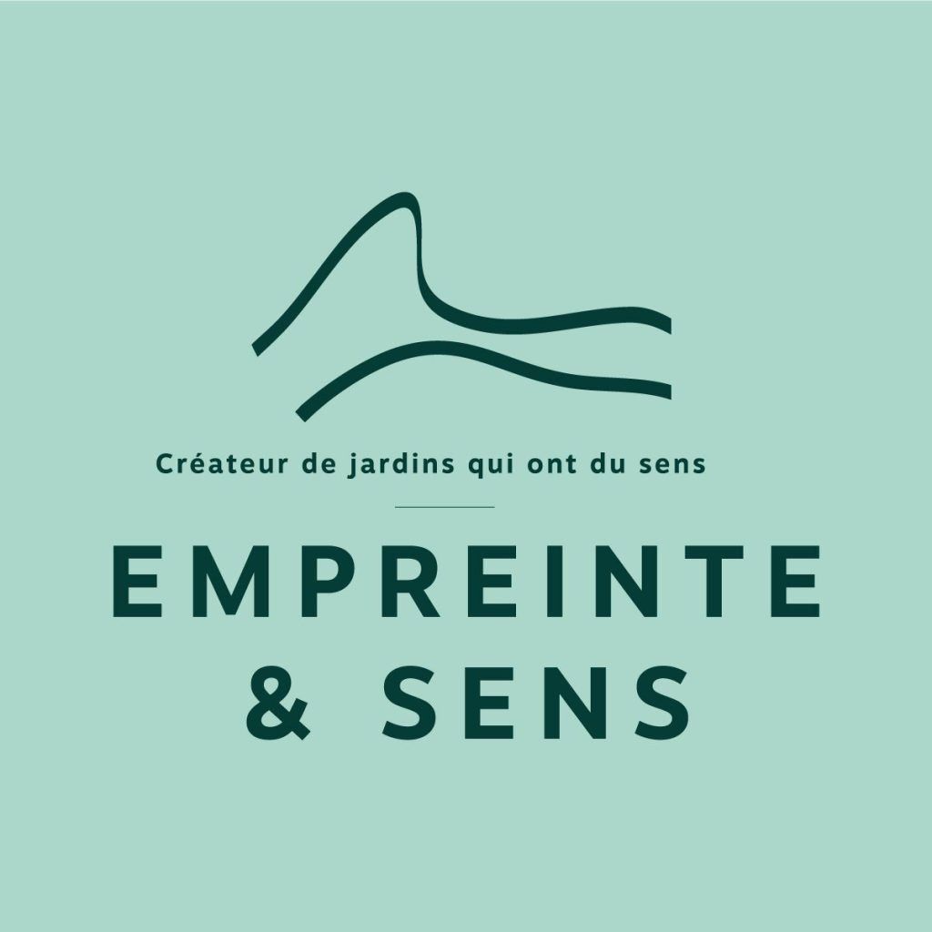 logo turquoise hd